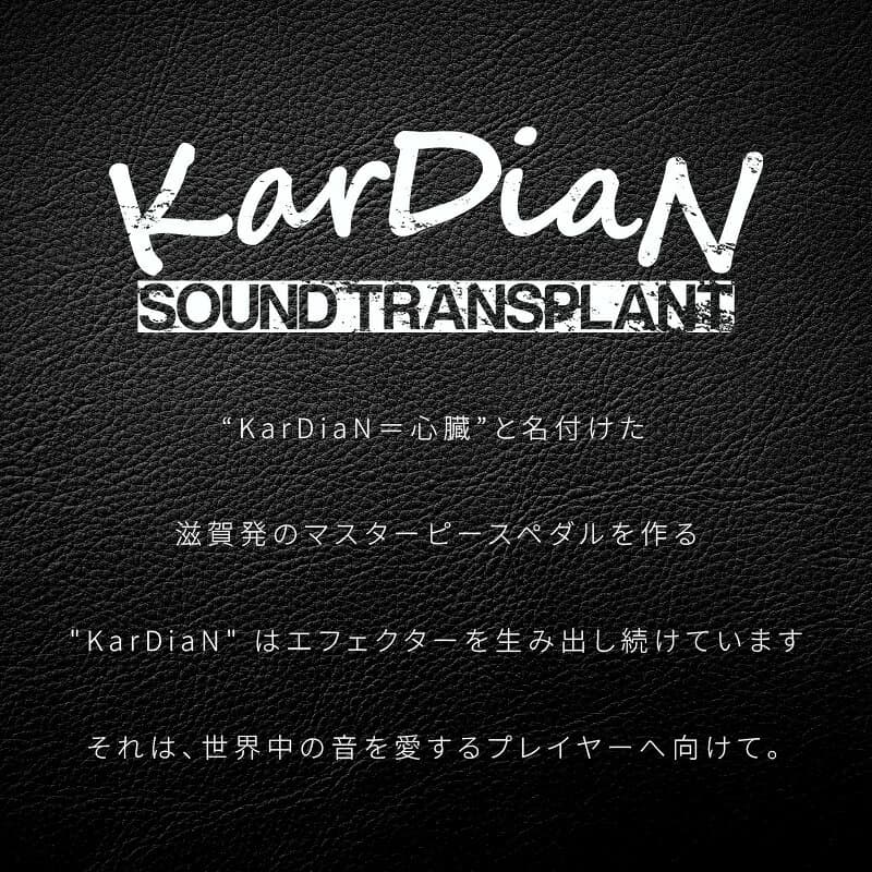【ふるさと納税】KarDiaN エフェクター Serotonin Origin S.T. ADD CBF クリーンローパス フィルター クリーン ブースター モジュール エレキ ギター ベース 楽器 サウンド ハンドメイド エイジド加工 アクセサリ 音響機材 お取り寄せ 滋賀県 守山市 送料無料 thumbnail 2