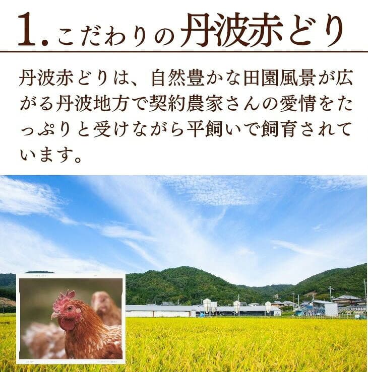 【ふるさと納税】訳あり 丹波 赤どり 手羽先 2kg×3パック 総量6kg＜京都亀岡丹波山本＞業務用 大容量 ふるさと納税 鶏肉 小分け 不揃い リーフレット付 thumbnail 3