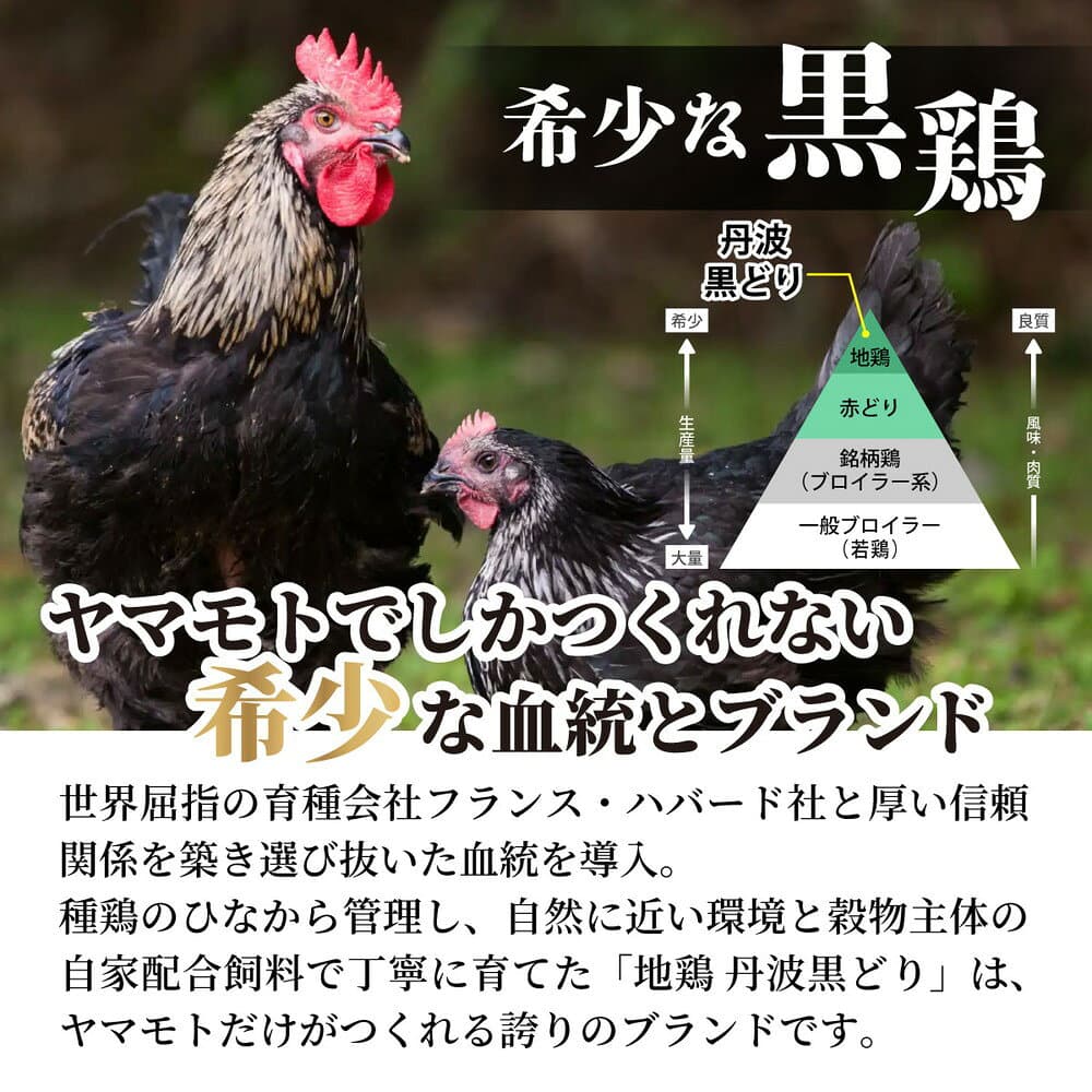 【ふるさと納税】訳あり 地鶏 丹波黒どり 手羽元 500g×8パック 総量4kg 小分け 冷凍＜京都亀岡丹波山本＞《鶏肉 不揃い 鳥 》 thumbnail 3