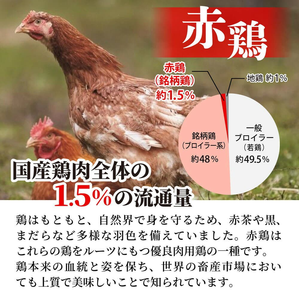 【ふるさと納税】訳あり 鶏肉 丹波黒どり＆丹波赤どり むね肉 4kg(各2kgずつ)≪国産 地鶏 食べ比べ 業務用 冷凍 送料無料 1パック2kg 鶏肉 ムネ 鳥 ≫ thumbnail 3