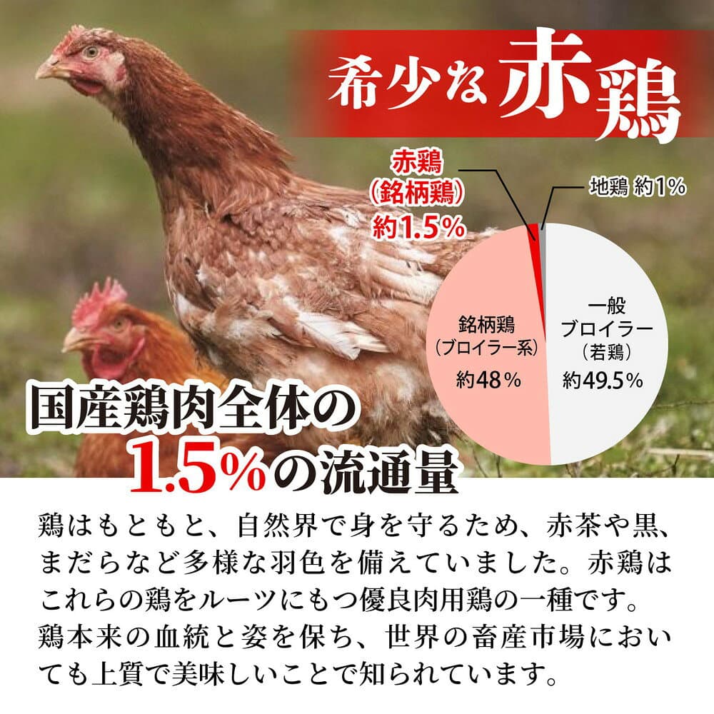 【ふるさと納税】訳あり 鶏肉 丹波赤どり むね肉 4kg(1kg×4パック)＜京都亀岡丹波山本＞ 業務用 鶏肉 冷凍 ムネ 不揃い むね 鳥 thumbnail 3