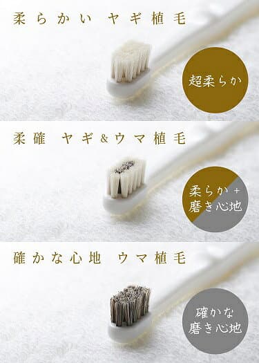【ふるさと納税】A159＜柔らかい天然毛歯ブラシ＞ミガケンデ 3本セット【歯ブラシ はぶらし 犬用 3本 天然毛 小型犬 口腔ケア ペット 日本製 大阪府 八尾】 thumbnail 2