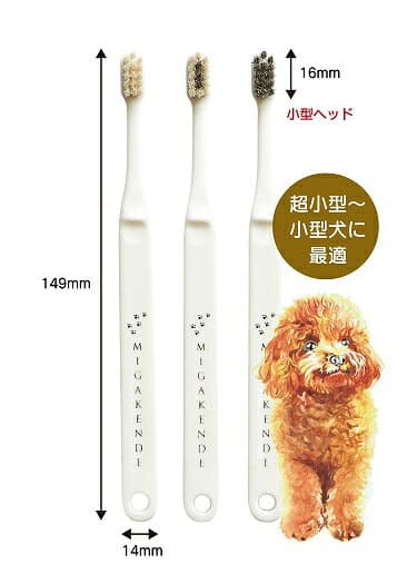 【ふるさと納税】A159＜柔らかい天然毛歯ブラシ＞ミガケンデ 3本セット【歯ブラシ はぶらし 犬用 3本 天然毛 小型犬 口腔ケア ペット 日本製 大阪府 八尾】 thumbnail 3
