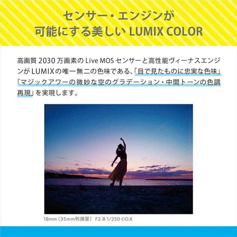 【ふるさと納税】パナソニック デジタル一眼カメラ ルミックス　DC-G100DK【 電化製品 生活家電 カメラ デジタルカメラ 一眼レフ 人気 おすすめ 送料無料 大阪府 門真市 】 thumbnail 3