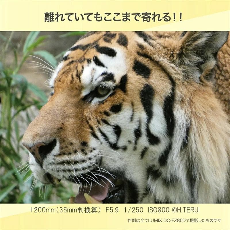 【ふるさと納税】パナソニック コンパクトデジタルカメラ ルミックス　DC-FZ85D【 電化製品 生活家電 カメラ デジタルカメラ 一眼レフ 人気 おすすめ 送料無料 大阪府 門真市 】 thumbnail 3
