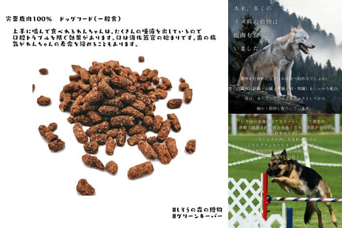 【ふるさと納税】無添加 ドッグフード （一般食）鹿肉 100% ペットフード 宍粟鹿肉 ヒューマングレード ペット O12 thumbnail 2