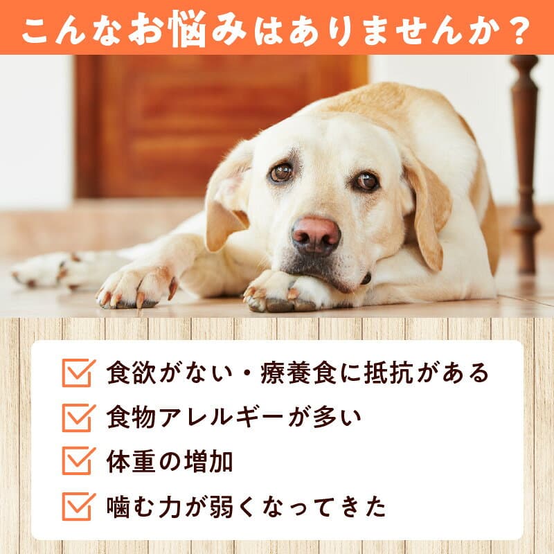 【ふるさと納税】鹿肉でできたドッグフード【ドライフード 1.5kg（500g×3袋） 1.5kg】ペット ペット用品 犬 犬用 餌 ペットフード 鹿肉 安全 国産 ジビエ おやつ ごはん 小粒 高タンパク 鉄分 低脂質 低カロリー グレインフリー アレルギー TASHIKA 送料無料 62-01 thumbnail 3