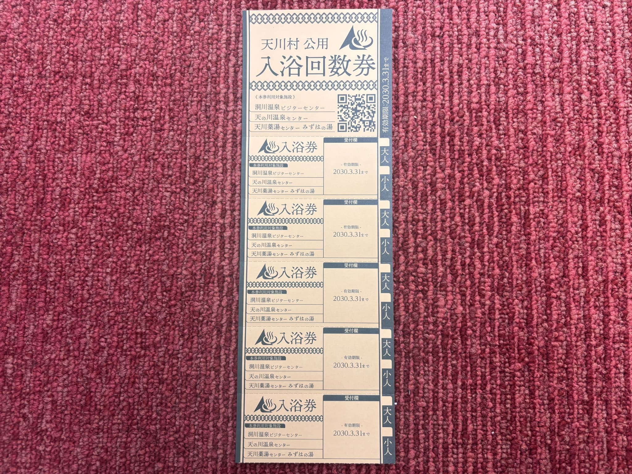 【ふるさと納税】天川村日帰り入浴施設入浴券　5枚セット