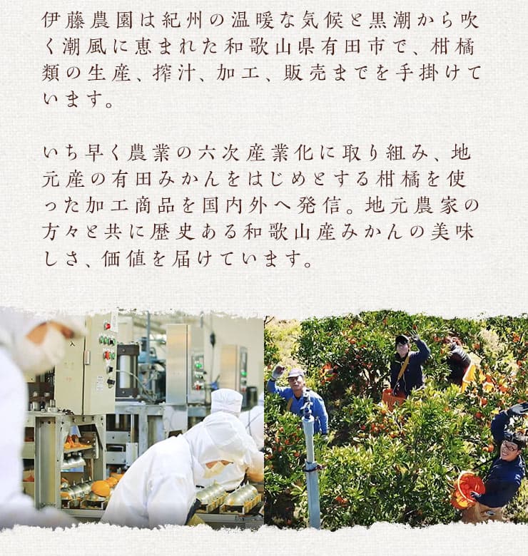 【ふるさと納税】 100％ピュア みかんジュース 飲み比べ 180ml×30本 みかんしぼり 伊藤農園 果汁ストレート 無添加 ドリンクセット 送料無料 有田産 フルーツジュース ギフト 人気 和歌山県有田市　（A223-4） thumbnail 3