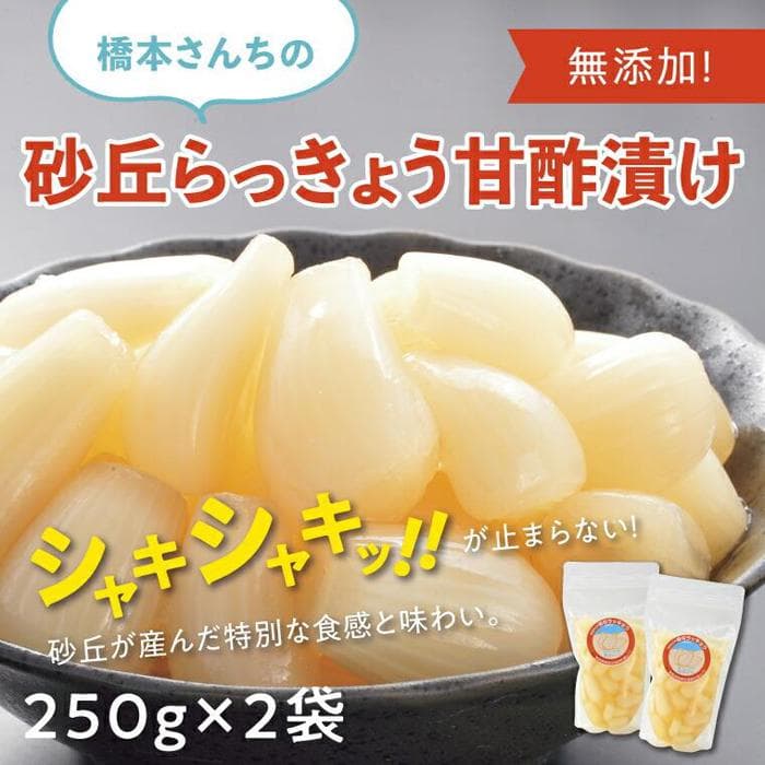 【ふるさと納税】橋本さんちの砂丘らっきょう甘酢漬け 500g | ふるさと納税 らっきょう らっきょ 辣韭 漬物 漬け物 らっきょう漬け カレー おつまみ ご飯のお供 無添加 手作業 鳥取 鳥取県 鳥取市