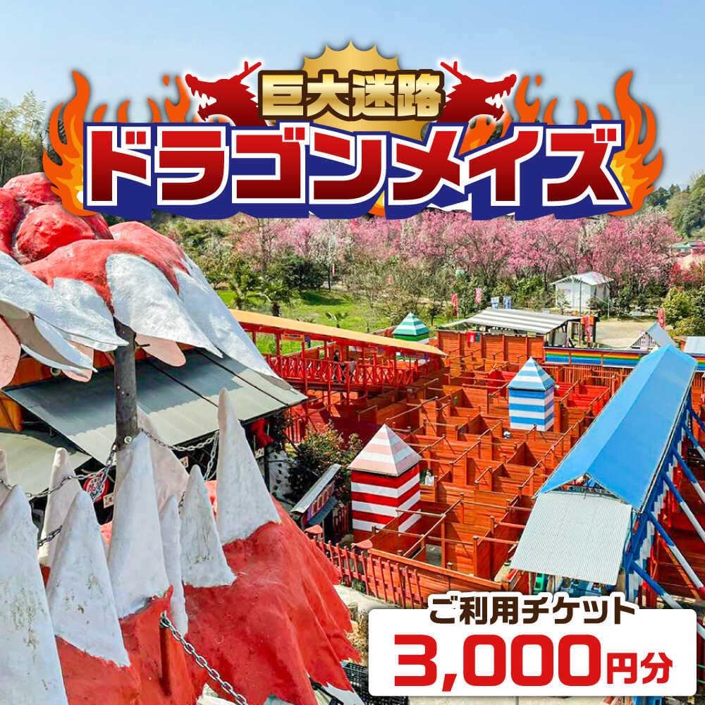 【ふるさと納税】 巨大迷路 「心の駅　陽だまりの丘」 巨大迷路 ドラゴンメイズで使えるチケット 3000円分 迷路 観光 利用券 入場券 3千円分 体験 体験チケット お出かけ レジャー 家族 ファミリー カップル 子供 子ども 人気 島根県雲南市/株式会社　丸隆[AIAZ001]