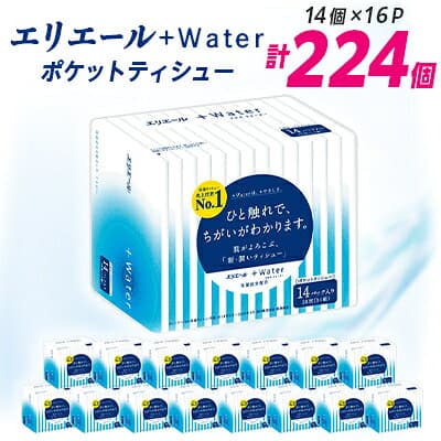 【ふるさと納税】エリエール +Water(プラス ウォーター)ポケットティシュー 14組14個×16P(224個)_ ポケットティッシュ ふるさと納税 ティッシュ エリエール +Water シリーズ 保湿タイプ 保湿 日用品 消耗品 生活用品 【配送不可地域：離島・北海道・沖縄県】【1352859】