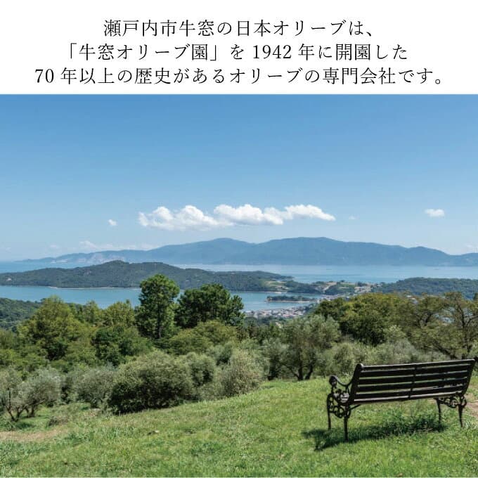 【ふるさと納税】オリーブオイル 赤屋根ガーリックオリーブオイル 450g 3本 セット 食用油 オリーブオイル ふるさと納税 エキストラバージン 有機栽培 オーガニック オリーブ油 調味料 お試し おためし thumbnail 3