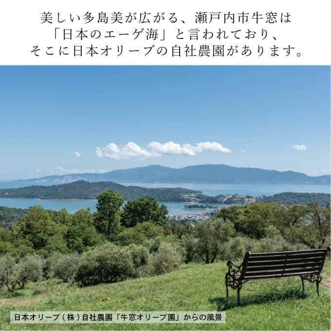 【ふるさと納税】赤屋根オリーブの実と葉入り 旨み塩 ＆ 有機栽培オリーブオイル ブレンド セット 食用油 植物オイル 調味料 味付け フルーティ 生食用オリーブ油 エキストラバージンオリーブオイル お試し おためし　お届け：入金確認後、約2週間〜1ヶ月でお届けします。 thumbnail 3
