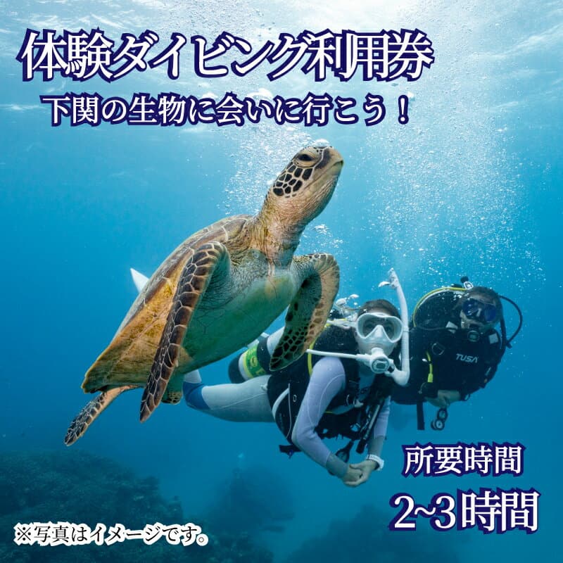 【ふるさと納税】 体験 ダイビング アクティビティ 利用券 チケット 1名様分 ビーチ スポーツ マリンスポーツ 下関 山口