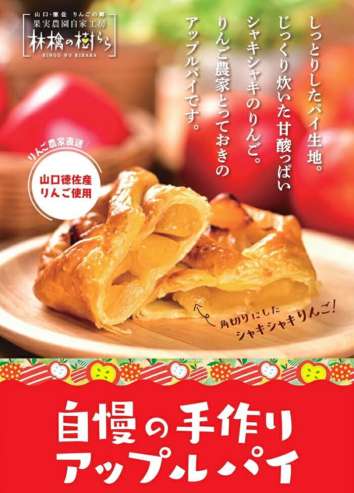 D304【ふるさと納税】山口・徳佐　林檎の樹ららのアップルパイ（8個入）