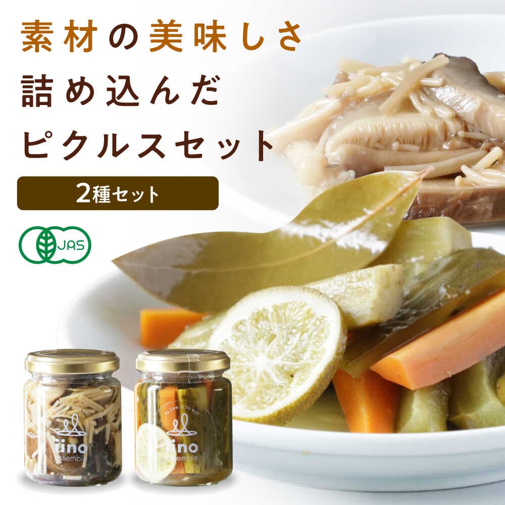 【ふるさと納税】惣菜 ピクルスセット 2個入り 愛媛県大洲市/iino assemble[AGAA014] ピクルス 野菜 やさい 詰め合わせ セット 加工食品 漬物 お漬物 おつけもの しいたけ えのき きのこ 料理 アレンジ 簡単 副菜 おすすめ 人気 お取り寄せ 贈答 ギフト