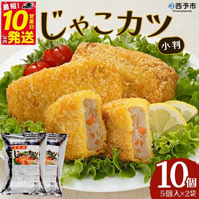 【ふるさと納税】＜じゃこカツ小判（未加熱）5個入り×2袋＞ 合計10個 お惣菜 小魚 さかな 魚介 すり身 じゃこ天 フライ 揚げ物 加工品 特産品 おつまみ おかず お弁当 バーガー カレー 国産 おがた蒲鉾 愛媛県 西予市 【冷凍】『最短10営業日以内に順次発送予定』