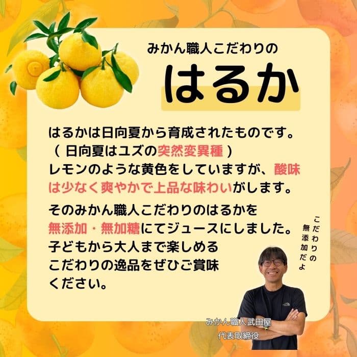 【ふるさと納税】 高評価 ★4.96 はるか ジュース 720ml 3本 6本 無添加 果汁 100% ( ふるさと納税 ジュース みかん 柑橘 はるか 愛媛県 愛南町 )みかん職人武田屋 thumbnail 2