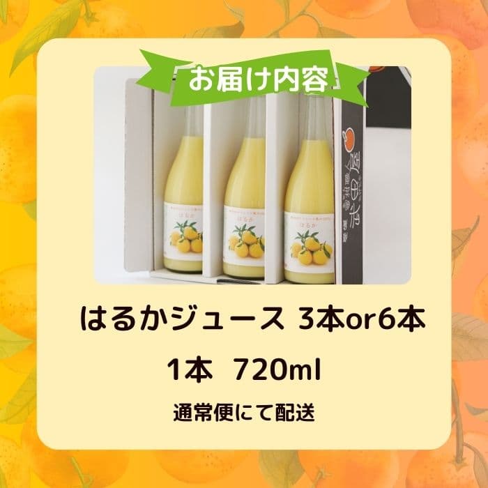 【ふるさと納税】 高評価 ★4.96 はるか ジュース 720ml 3本 6本 無添加 果汁 100% ( ふるさと納税 ジュース みかん 柑橘 はるか 愛媛県 愛南町 )みかん職人武田屋 thumbnail 3