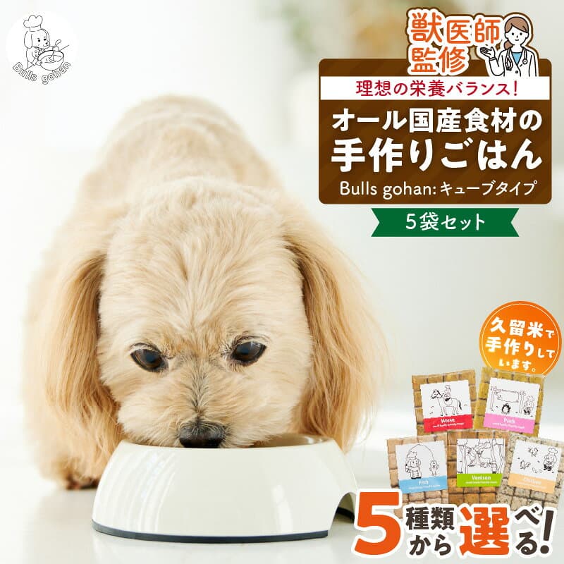 【ふるさと納税】CUBE型 20個入×5袋 無添加ドッグフード 1袋300g(馬肉・豚肉・鹿肉・鶏肉・魚の中から5袋) 国産 手作り アレルギー ウェット 子犬 シニア犬 冷凍 ヒューマングレード 老犬 小型犬 お試し 選べる ペットフード ブルズごはん