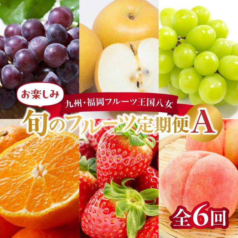 【ふるさと納税】九州・福岡フルーツ王国八女 お楽しみ旬のフルーツ定期便【全6回】A ＜配送不可：北海道・沖縄・離島＞ フルーツ 定期便 あまおう もも ぶどう 梨 シャインマスカット みかん 季節のフルーツ 果物 おすすめ セット 産地直送 福岡県 八女市
