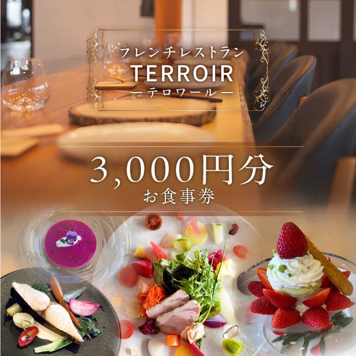 【ふるさと納税】フレンチ レストラン【テロワール】ランチ・ディナー 共通 お食事券 3,000円分 糸島市 / テロワール [AMM003] 食事券 11000円 1万1千円