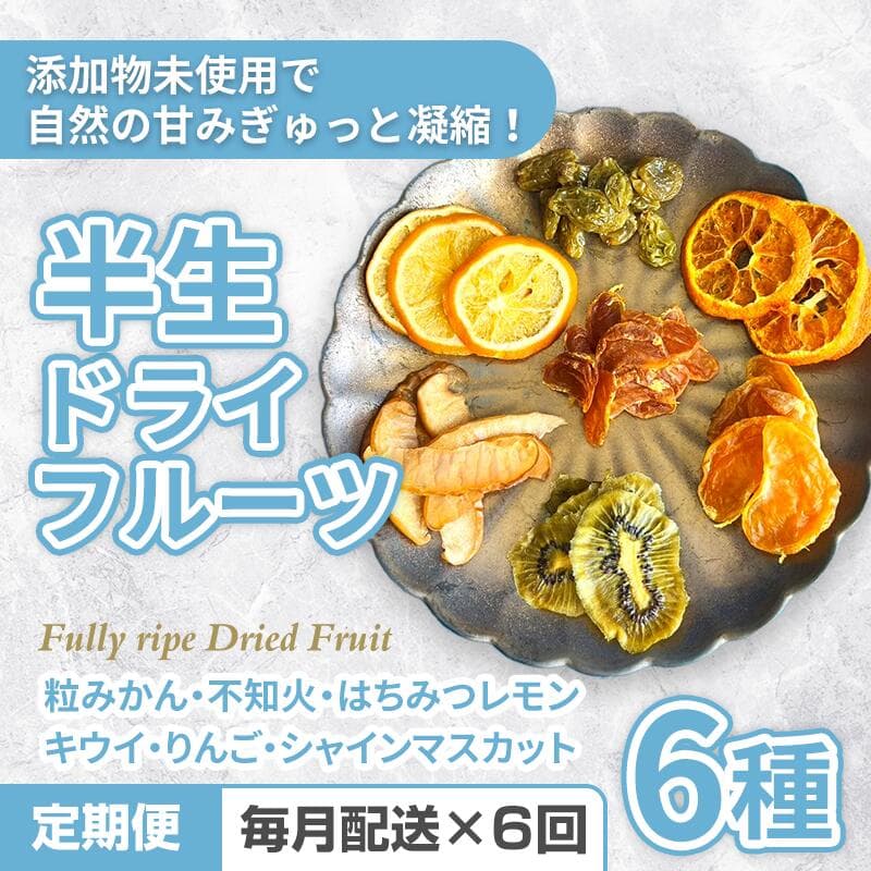 【ふるさと納税】《定期便》国産無添加6種の半生ドライフルーツ【6回お届け】