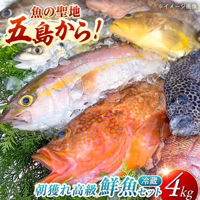 【ふるさと納税】【五島列島直送】朝獲れ高級鮮魚セット4kg 五島市 / 鯛福丸水産[PDP003] 魚 鮮魚 セット 海鮮 直送 さかな 詰合せ 冷蔵