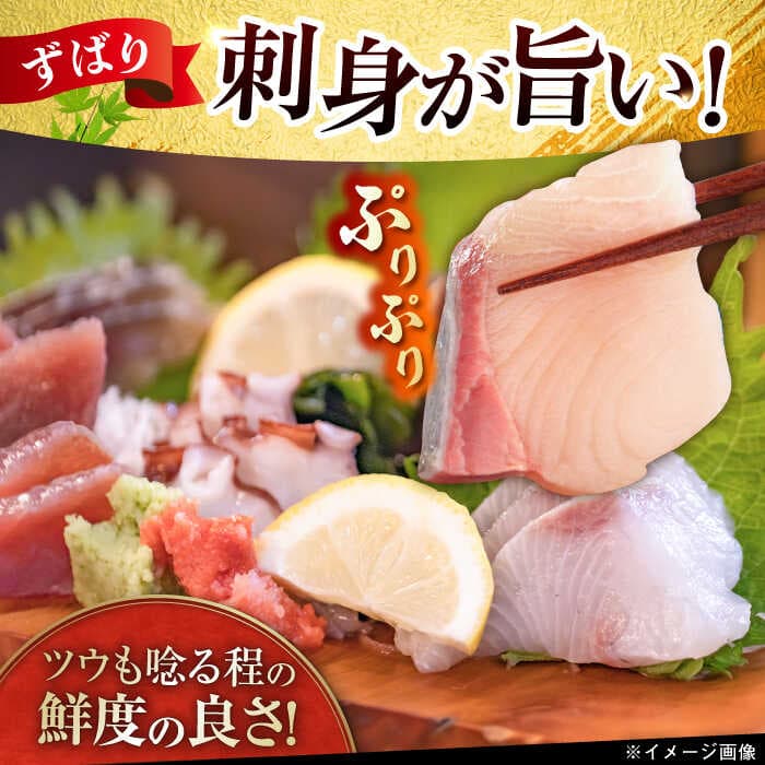 【ふるさと納税】【五島列島直送】朝獲れ高級鮮魚セット6kg 五島市 / 鯛福丸水産[PDP004] 魚 鮮魚 セット 海鮮 直送 さかな 詰合せ 冷蔵 thumbnail 2