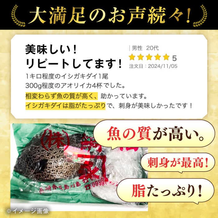 【ふるさと納税】【五島列島直送】朝獲れ高級鮮魚セット6kg 五島市 / 鯛福丸水産[PDP004] 魚 鮮魚 セット 海鮮 直送 さかな 詰合せ 冷蔵 thumbnail 3