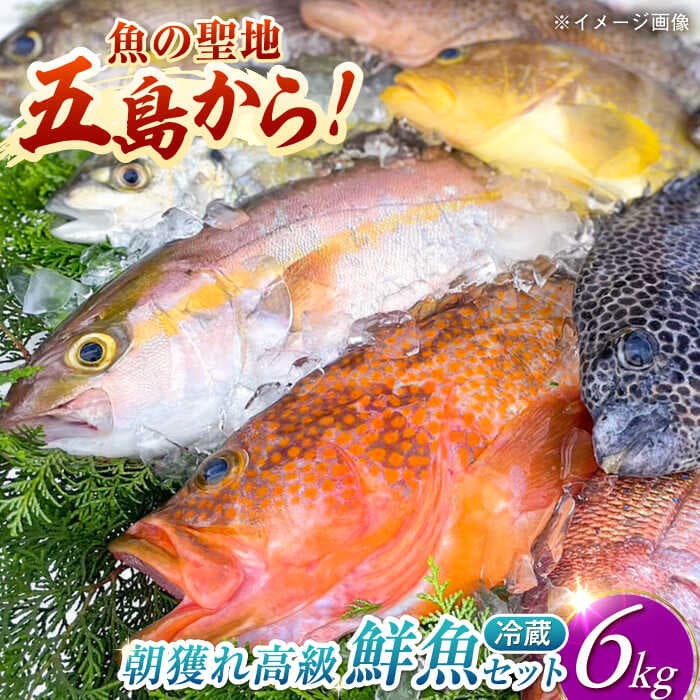 【ふるさと納税】【五島列島直送】朝獲れ高級鮮魚セット6kg 五島市 / 鯛福丸水産[PDP004] 魚 鮮魚 セット 海鮮 直送 さかな 詰合せ 冷蔵