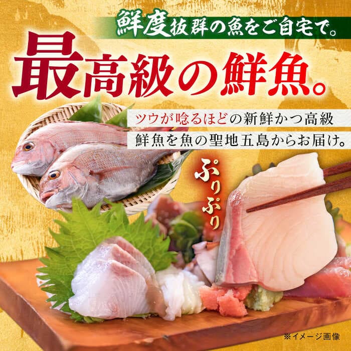 【ふるさと納税】【全4回定期便】【五島列島直送】朝獲れ高級鮮魚セット4kg 五島市 / 鯛福丸水産[PDP006] 魚 鮮魚 セット 海鮮 直送 さかな 詰合せ 冷蔵 定期 thumbnail 2