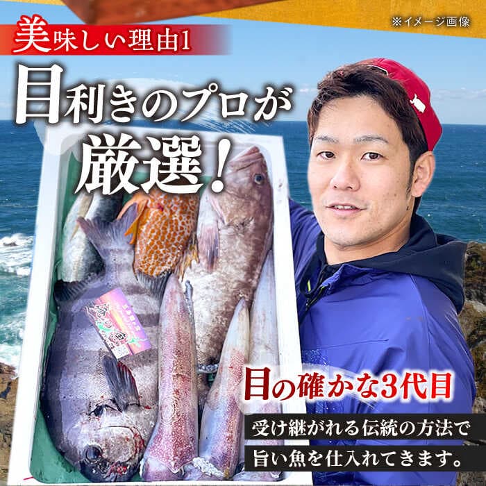 【ふるさと納税】【全4回定期便】【五島列島直送】朝獲れ高級鮮魚セット6kg 五島市 / 鯛福丸水産[PDP007] 魚 鮮魚 セット 海鮮 直送 さかな 詰合せ 冷蔵 定期 thumbnail 3
