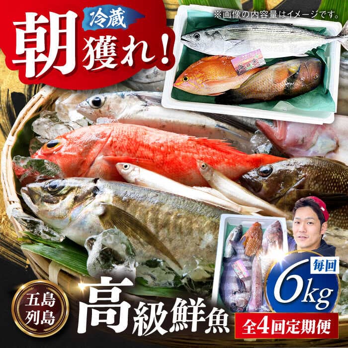 【ふるさと納税】【全4回定期便】【五島列島直送】朝獲れ高級鮮魚セット6kg 五島市 / 鯛福丸水産[PDP007] 魚 鮮魚 セット 海鮮 直送 さかな 詰合せ 冷蔵 定期