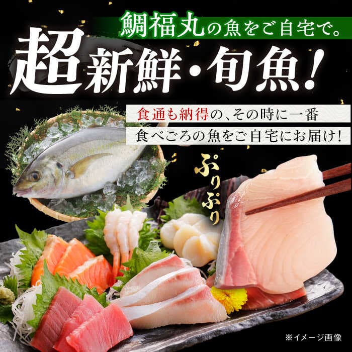 【ふるさと納税】【五島列島直送】朝獲れ鮮魚セット2kg 五島市/鯛福丸水産[PDP008] 魚 鮮魚 セット 海鮮 直送 さかな 詰合せ 冷蔵 thumbnail 2