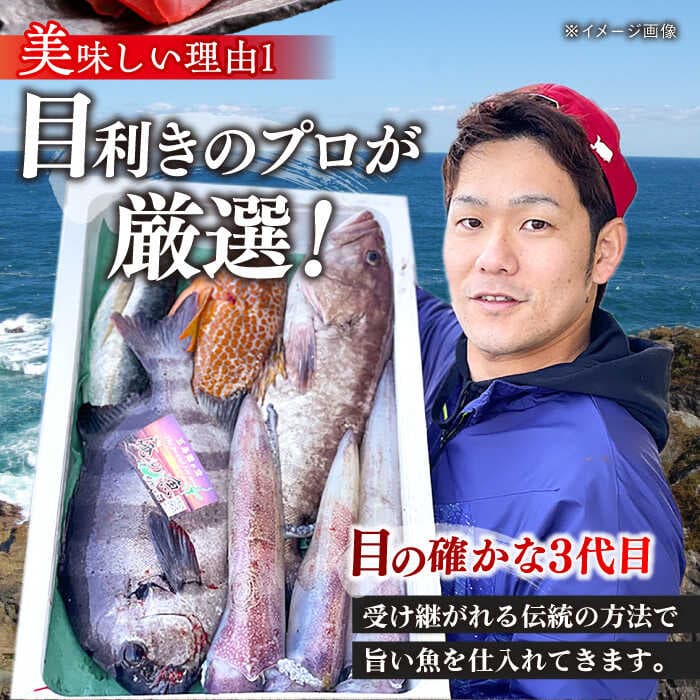 【ふるさと納税】【五島列島直送】朝獲れ鮮魚セット2kg 五島市/鯛福丸水産[PDP008] 魚 鮮魚 セット 海鮮 直送 さかな 詰合せ 冷蔵 thumbnail 3