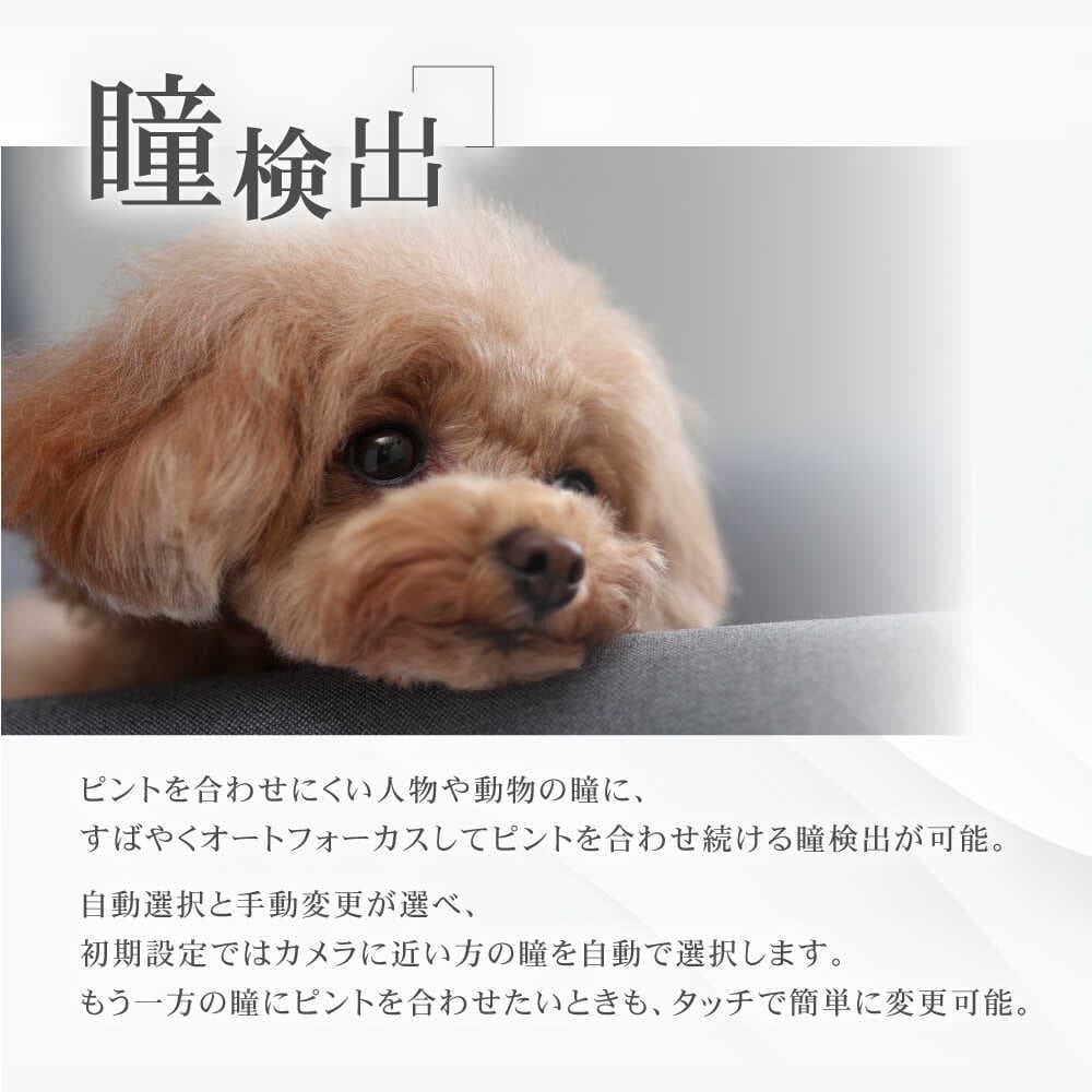 【ふるさと納税】早期発送！Canon EOS R10 レンズキット 1年保証 キヤノン ミラーレス カメラ 一眼【長崎キヤノン】 [MA16] 5331C008 thumbnail 3