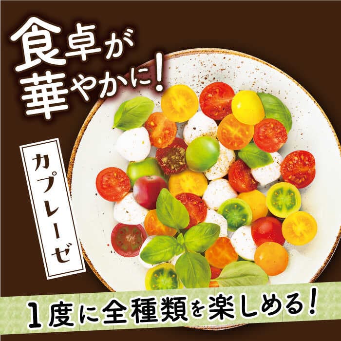 【ふるさと納税】【先行予約】【4色5種MIX】カラフルミニトマト 約1.2kg【2026年11月中旬より順次発送】《小値賀町》【りんたろうふぁ〜む】[DAE001] ミニトマト トマト とまと 野菜 新鮮 サラダ お弁当 国産 長崎 五島列島 thumbnail 3