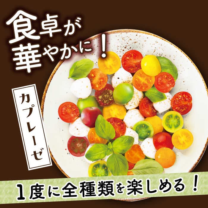 【ふるさと納税】【先行予約】【おまかせMIX】 カラフルミニトマト 約1.2kg【2026年11月中旬より順次発送】《小値賀町》【りんたろうふぁ〜む】[DAE002] ミニトマト トマト とまと 野菜 新鮮 サラダ お弁当 国産 長崎 五島列島 高評価 thumbnail 2
