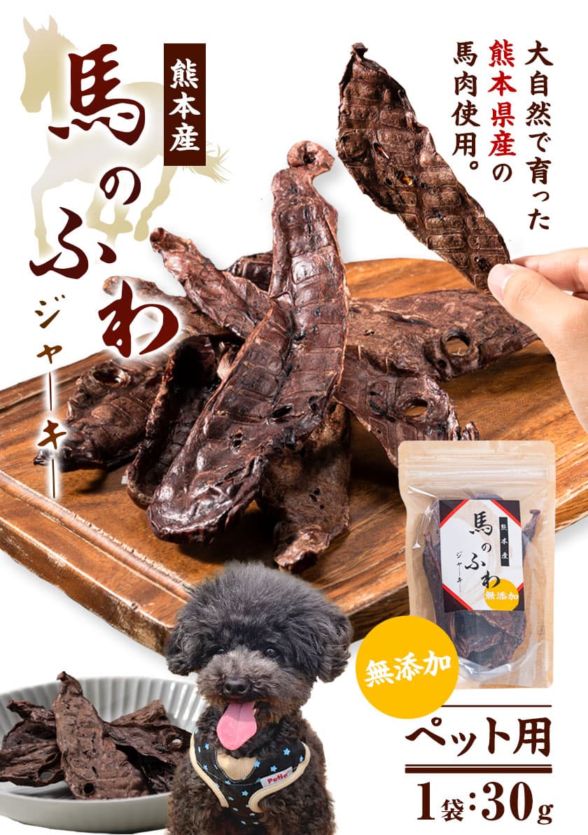 【ふるさと納税】ドッグフード ジャーキー 無添加 馬のふわ ジャーキー ペット 用 Evol Key 熊本県 御船町《30日以内に出荷予定(土日祝除く)》送料無料 thumbnail 2