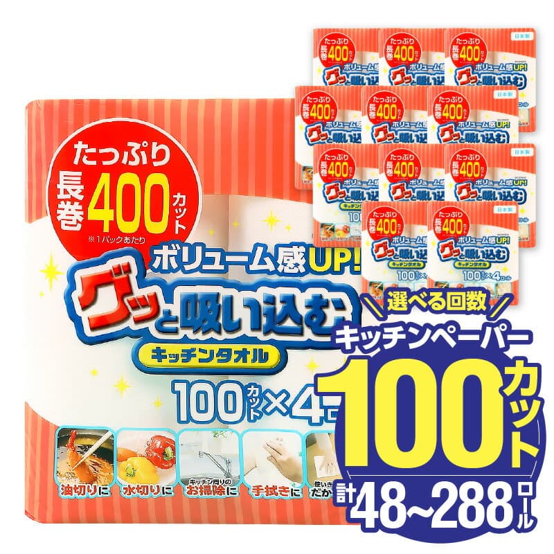 【ふるさと納税】〈しっかり吸収やぶれにくい！〉グッと吸い込むキッチンタオル100カット（4ロール×12パック）【選べる回数 1回/2回/3回/4回/6回】 日本製 キッチンペーパー ペーパータオル まとめ買い 大容量 電子レンジ使用可 吸水力 長持ち 消耗品 日用品 高評価 定期便