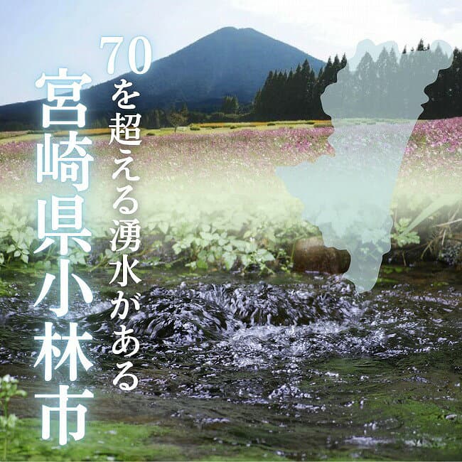 【ふるさと納税】【定期便あり】細野の天然水 555ml×24本 シリカ水 水 ミネラルウォーター ナチュラルウォーター 中硬水 シリカ 500ml 霧島の天然水 ふるさと 人気 おすすめ 贈答 ギフト お裾分け プレゼント 宮崎県 小林市 送料無料 thumbnail 3
