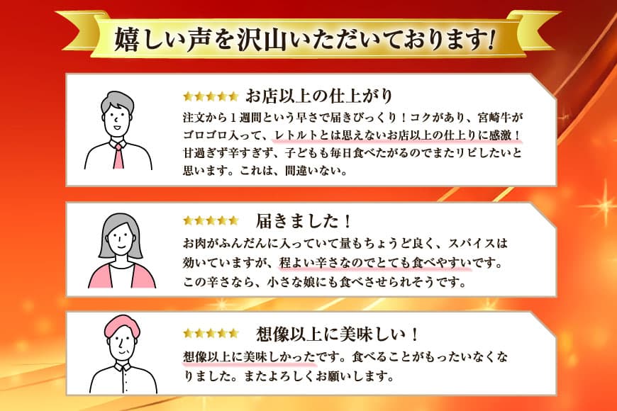 【ふるさと納税】 カレー レトルト 宮崎牛 カレー 160g 10袋 【選べる1回〜12回発送】 [九州産商 宮崎県 日向市 452061185] ふるさと納税 レトルトカレー レンジ 簡単調理 ビーフ 牛肉 宮崎牛 ビーフカレー 常備食 保存食 防災 備蓄 中辛 常温保存 thumbnail 3