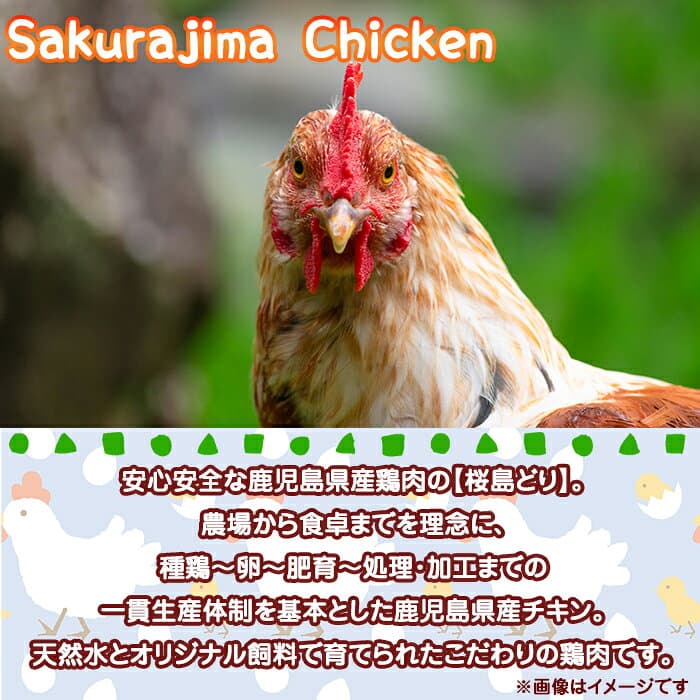 【ふるさと納税】＜すぐ届く！＞【定期便・全6回】鹿児島県産 豚肉&鶏肉 バラエティ定期便（計12.2kg）豚肉 鶏肉 もも ロース バラ しゃぶしゃぶ むね肉 胸肉 ささみ 小間切れ こま切れ 切り落とし 美湯豚 小分け 食べ比べ 国産 冷凍【大隅ミート産業・宮下商店】I9-0402 thumbnail 2