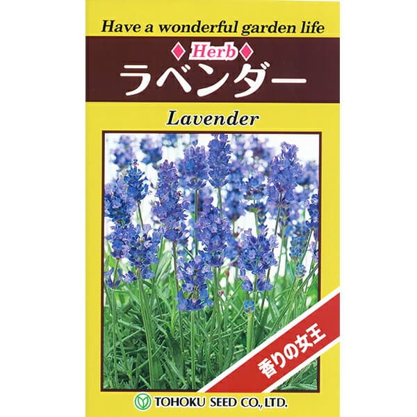 トーホク　野菜の種/種子　ハーブ　ラベンダー　内容量0.5ml　種　（追跡可能メール便発送　全国一律370円）07772