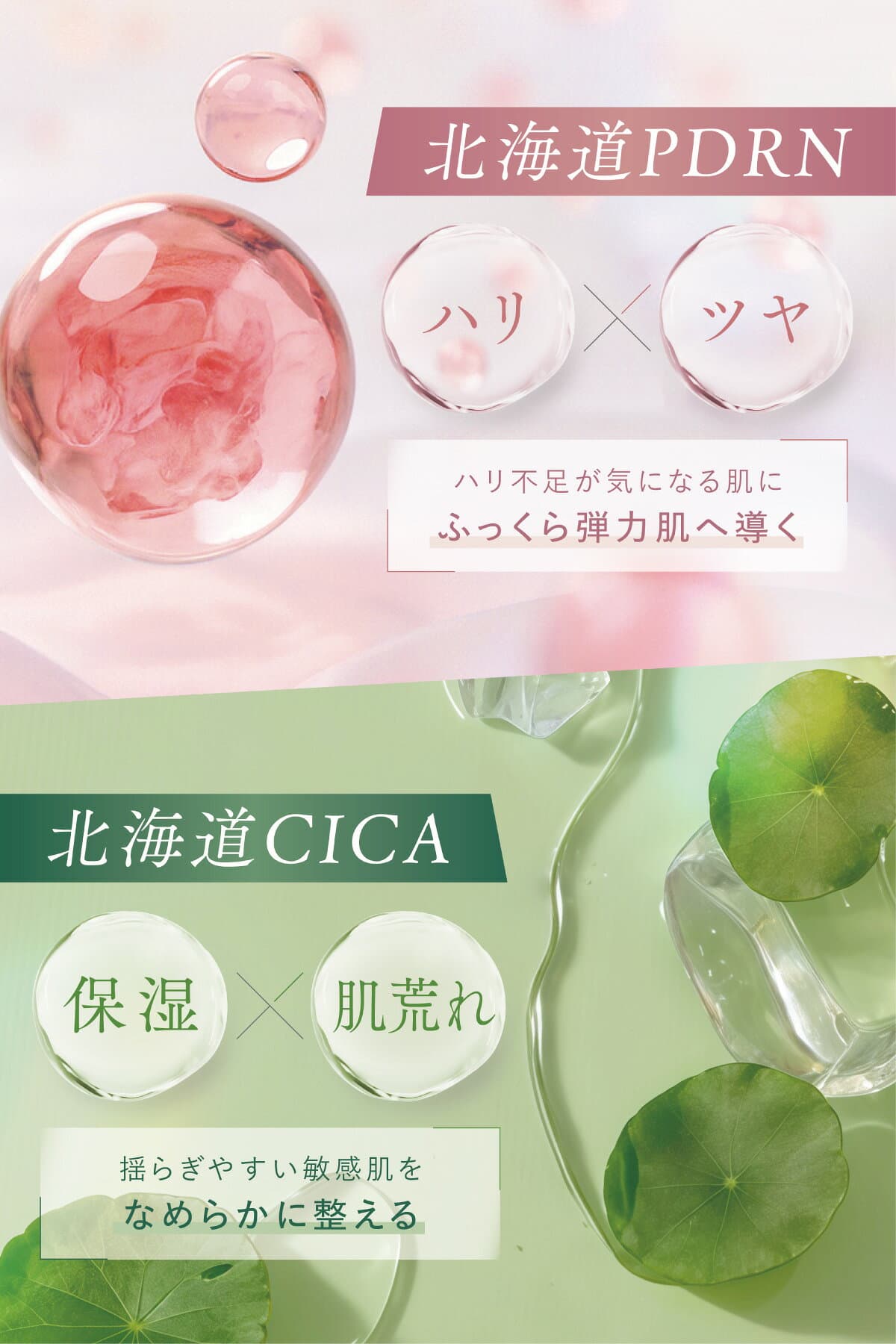 【30%OFFまもなく終了！9日1:59まで】 北海道PDRN スキンケアセット ギフトCICA 選べる 化粧水 クリーム ニードリフトセラム クレンジング 敏感肌 乾燥 シワ 保湿 エイジングケア 日本製 thumbnail 2