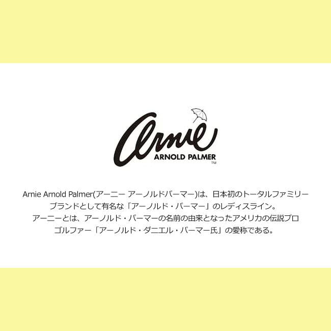 【期間限定クーポンあり】アーニーアーノルドパーマー スニーカー レディース ローカット 厚底 歩きやすい 疲れない 軽量 5.5cmソール ダッドスニーカー AN0963 おしゃれ かわいい 通勤 通学 ダッドシューズ 靴【2308】送料無料 thumbnail 2