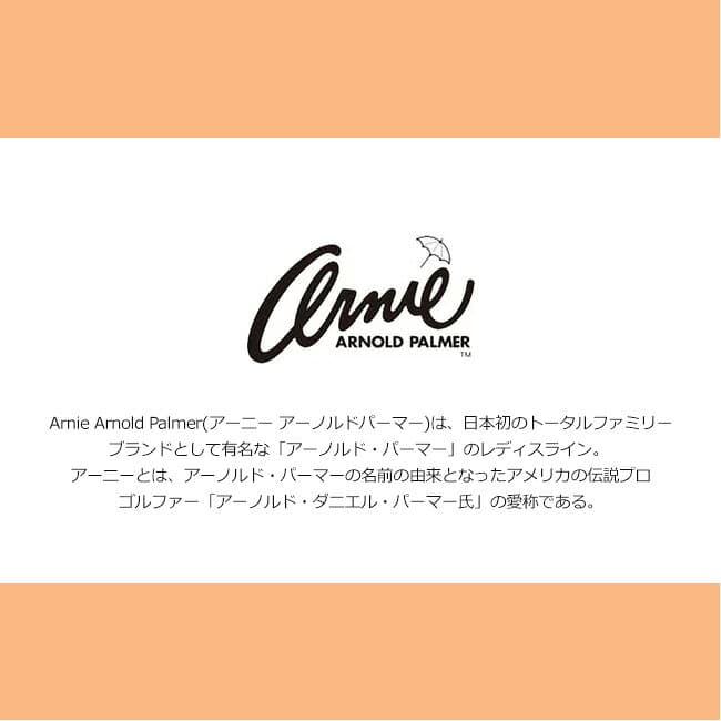 【期間限定クーポンあり】アーニーアーノルドパーマー スニーカー レディース スリッポン 履きやすい 疲れない 蒸れない 履きやすい 軽量 通気性 メッシュ ゴム紐 おしゃれ きれいめ AN0901 黒 白 春 夏 ジム 運動靴 通勤 通学 シューズ 靴【2402】送料無料 thumbnail 2