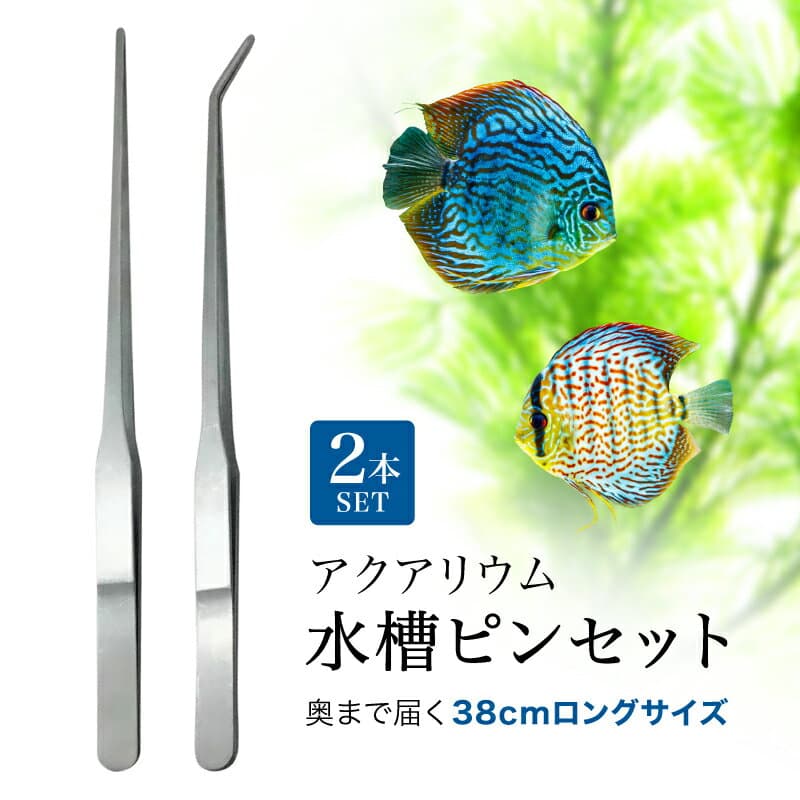 水槽用ピンセット 2本セット 超ロング 38cm ストレート カーブ ステンレス 丈夫 餌やり メンテナンス 長持ち ハーバリウム ピンセット ロング 水槽用 アクアリウム 水草 セッティング トリミング 熱帯魚 花 ドライ ブリザード フラワー インテリア エサやり 趣味 耐久性